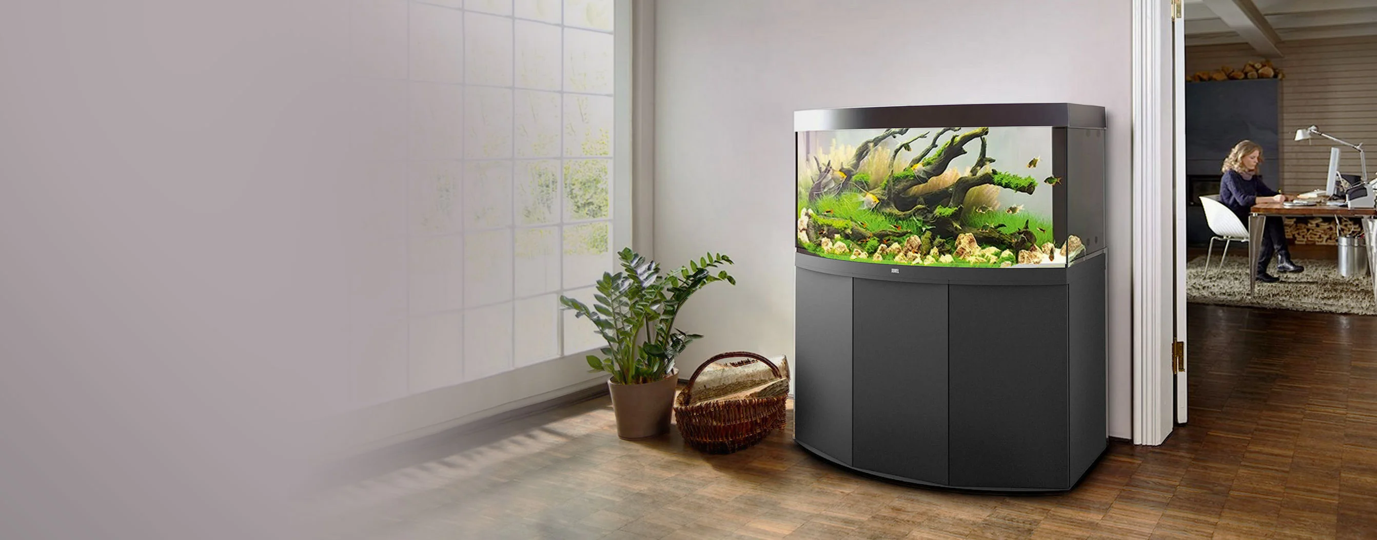 Dive Into Premium Aquatic Life